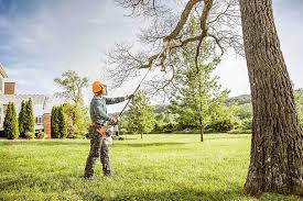Mulching Services in La Mesa, CA