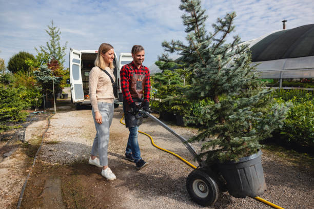 Best Leaf Removal  in La Mesa, CA